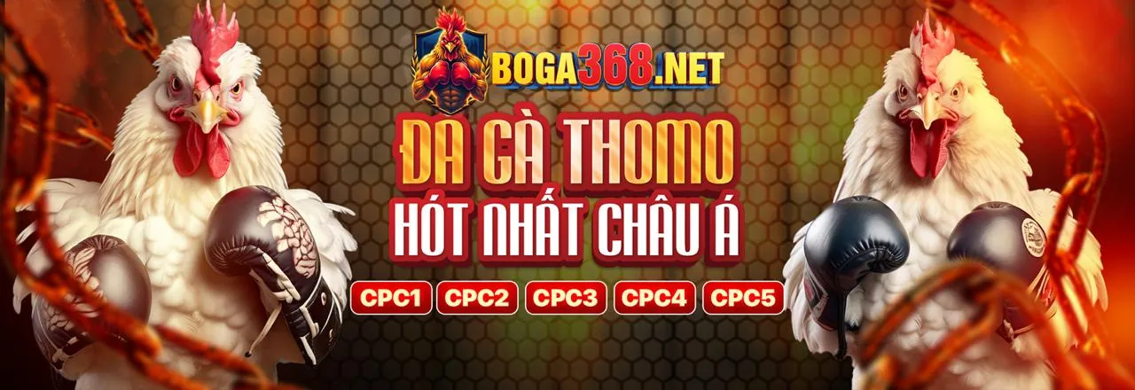 Đá gà trực tuyến kịch tính tại 789k nhà cái